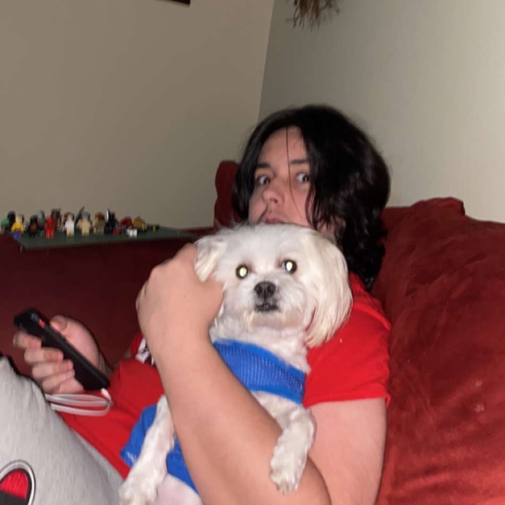 Meet your Posher, Landen